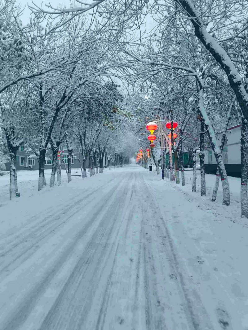 寒冬扫雪 温暖校园